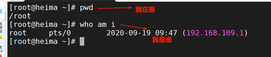 image-20200919100952480