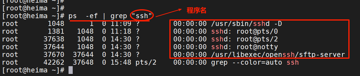 image-20200919155043154