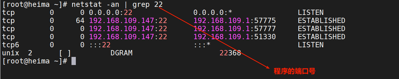 image-20200919155222297